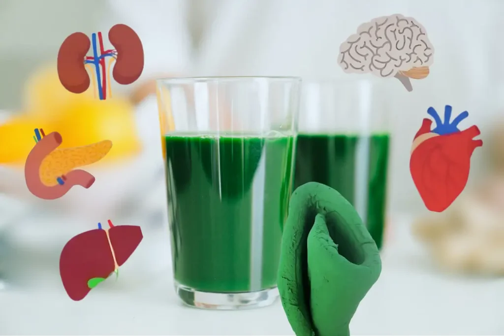 Jugo verde con órganos ilustrados: cerebro, corazón, riñones.